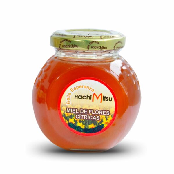 Miel de flores Silvestres 300gr.