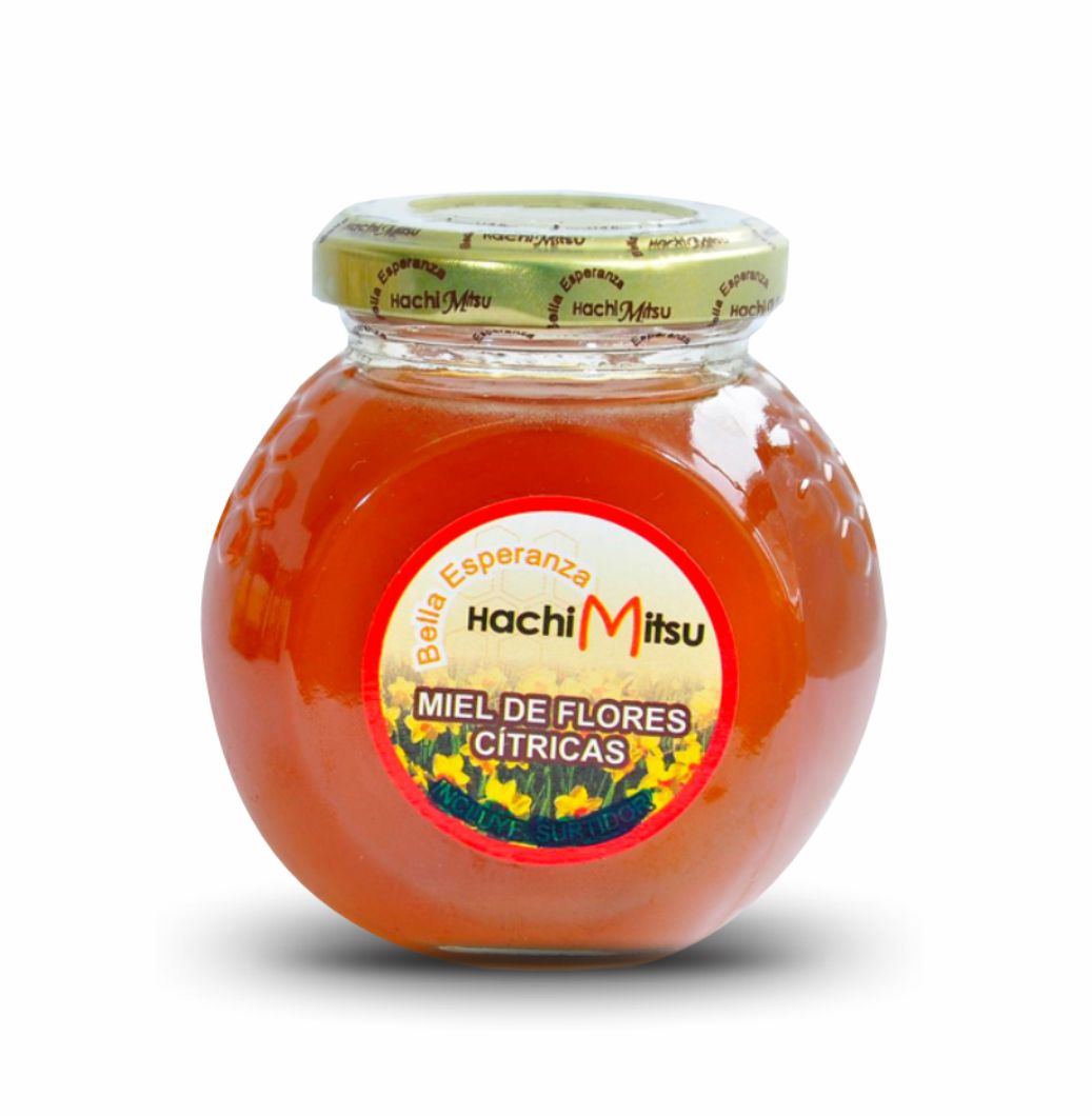 Miel de flores Silvestres 300gr.